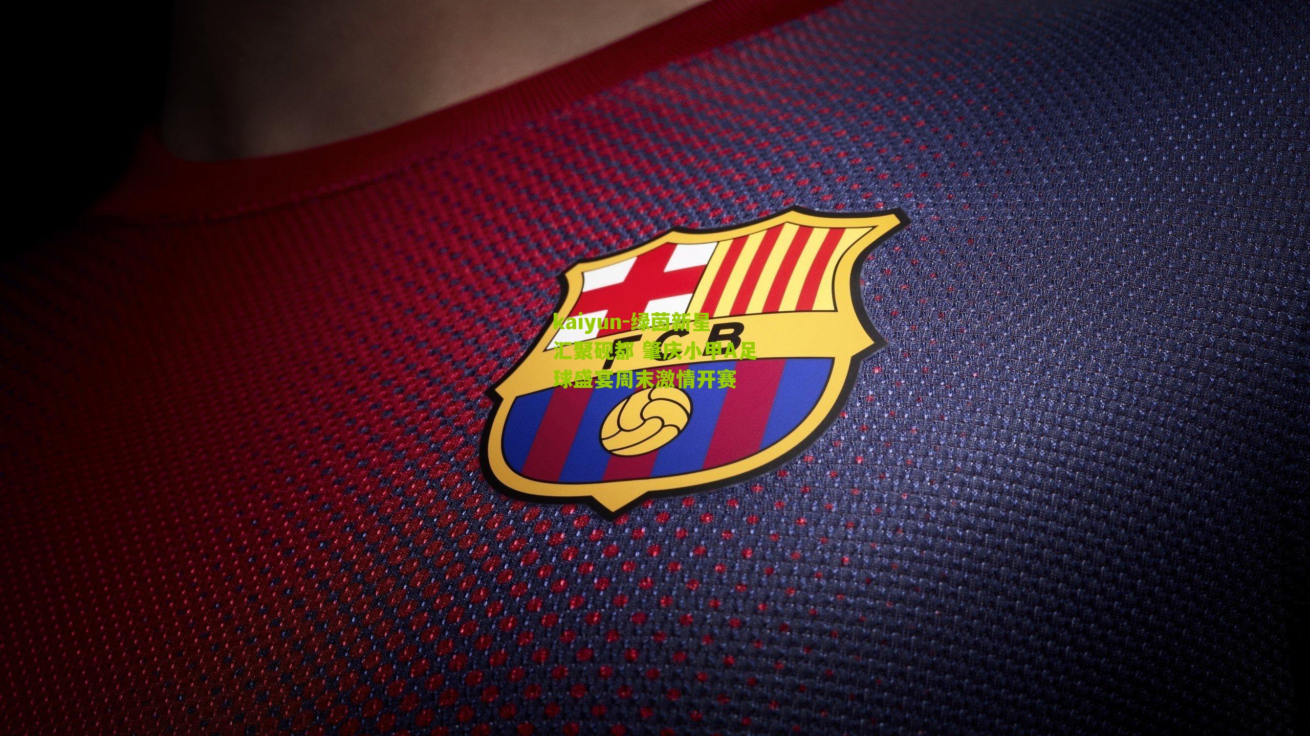 绿茵新星汇聚砚都 肇庆小甲A足球盛宴周末激情开赛