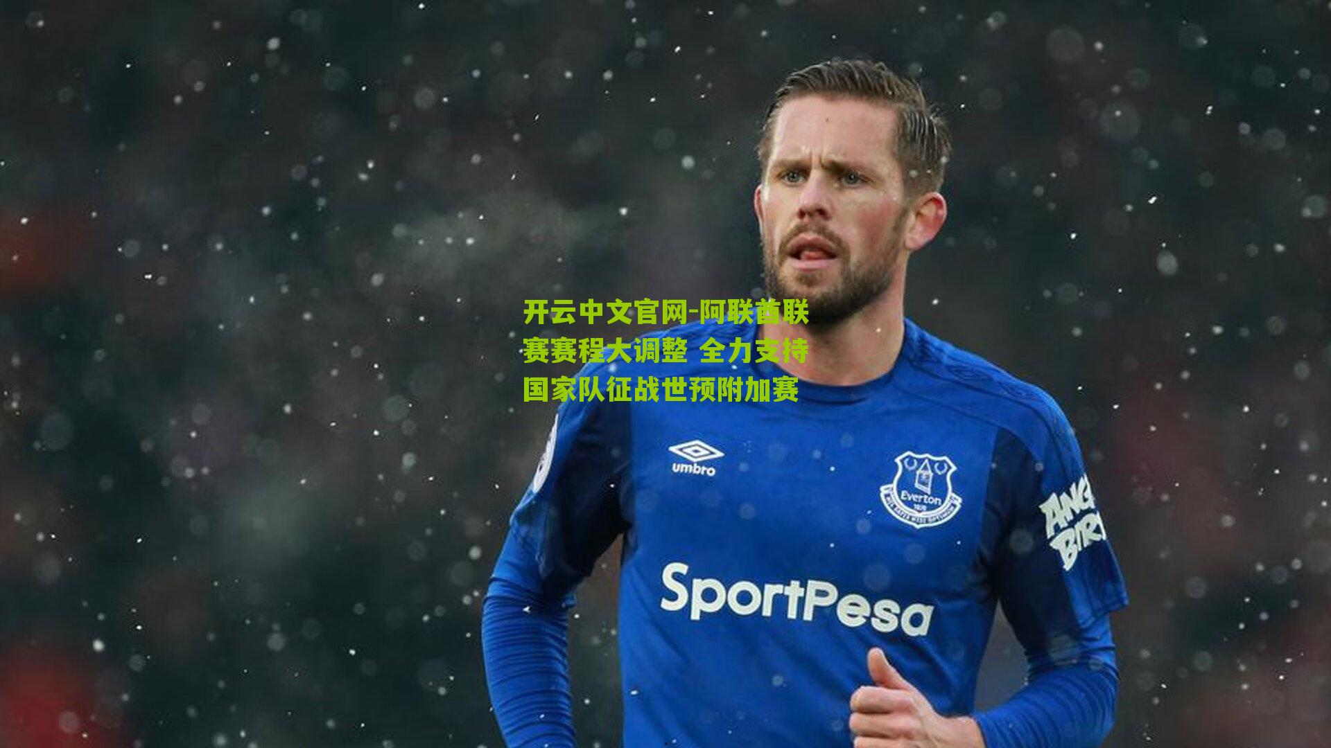 开云中文官网-阿联酋联赛赛程大调整 全力支持国家队征战世预附加赛